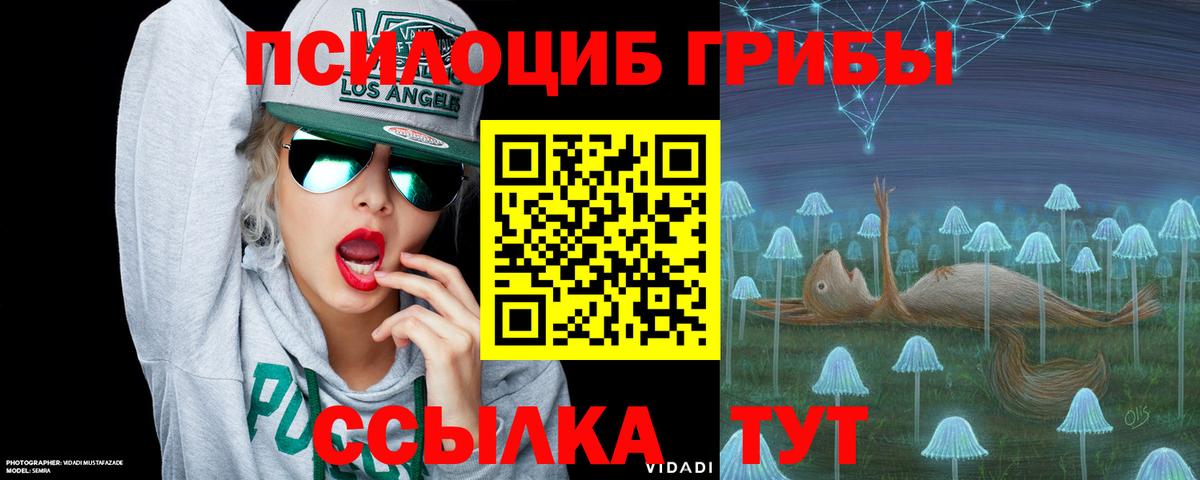 Звенигород  Псилоцибиновые грибы GOLDEN TEACHER  где продают наркотики  Вход с VPN 