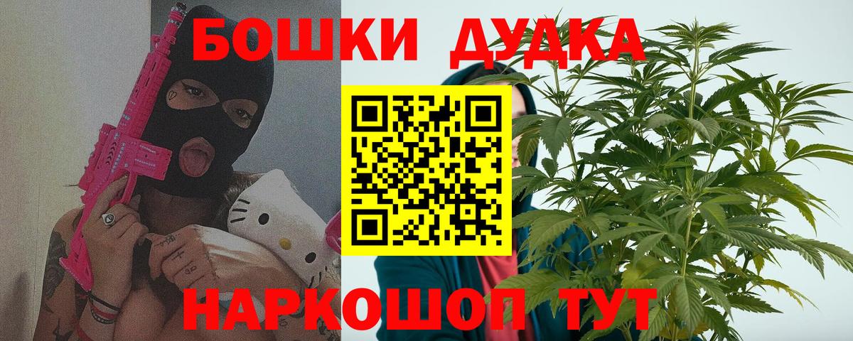 Шишки марихуана план  Бошки Шишки планчик  Марихуана сатива  Бошки марихуана Ganja  Вход с VPN  Звенигород 